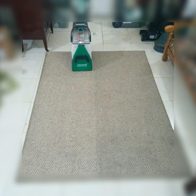 Bissell Carpet & Upholstery Extractor Cleaning Equipment Rental Provider